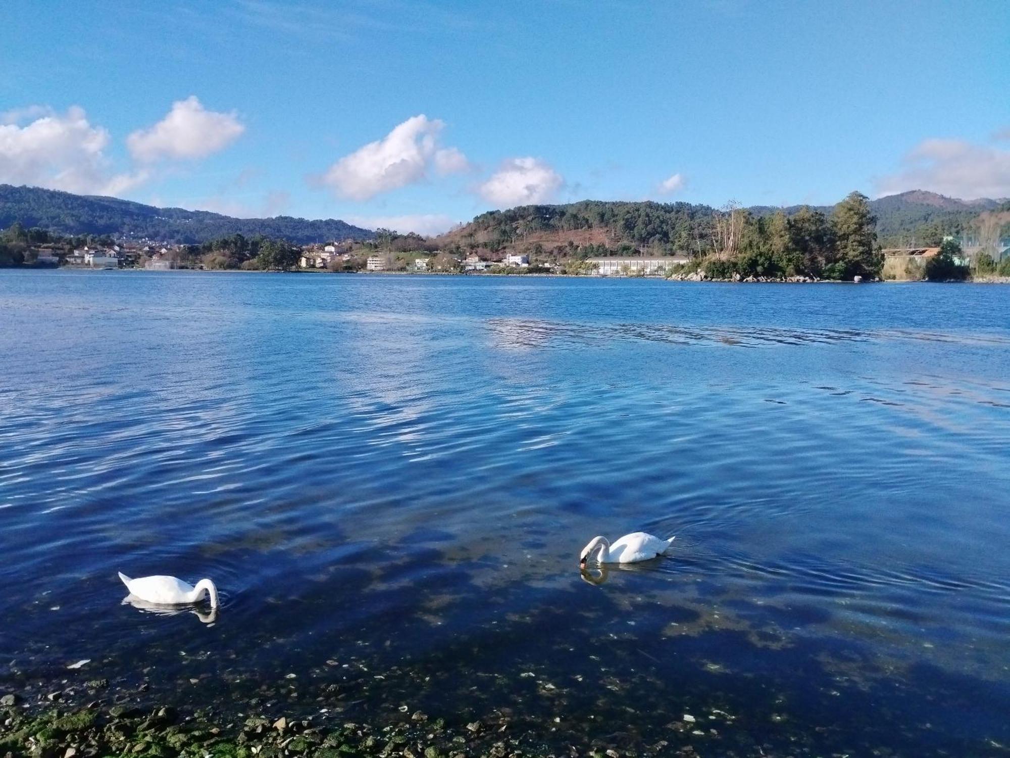 SotomayorVivienda De Uso Turistico Playa De Arcadeアパートメント エクステリア 写真